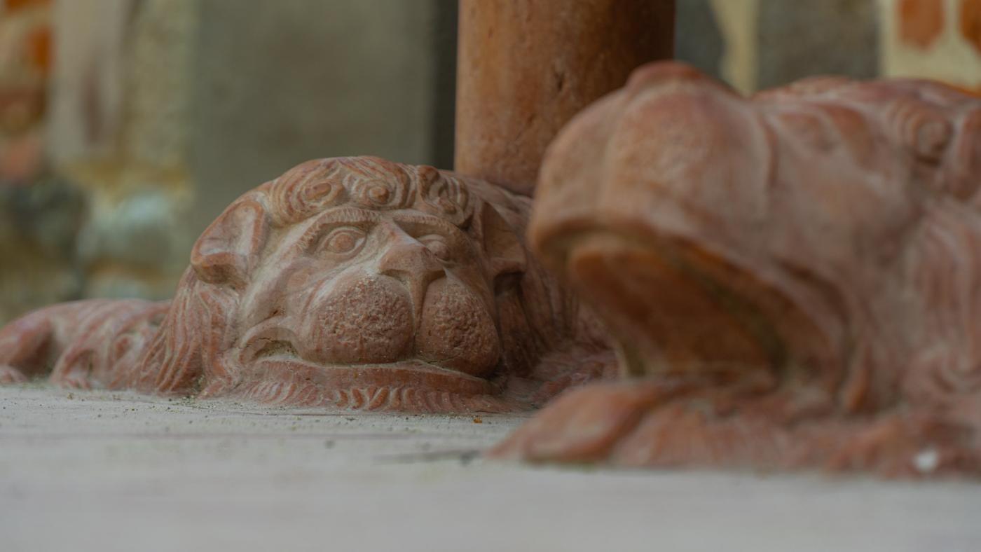 Visegrádi Királyi Palolota